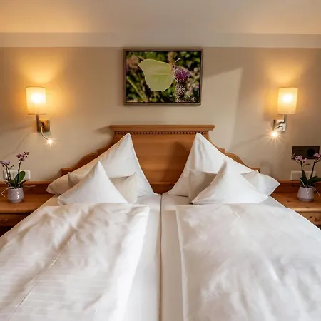 Alpen Glueck Lisa Garni Кирхберг